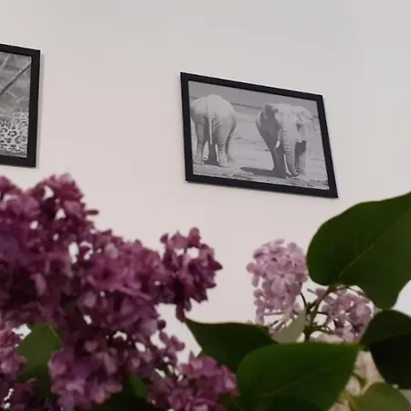 아파트 Ferienwohnung Wittenberge 비텐베르게