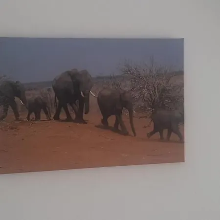 Ferienwohnung Wittenberge Lägenhet *