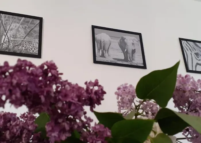 Apartament Ferienwohnung Wittenberge Wittenberge